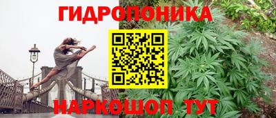дмт Донской