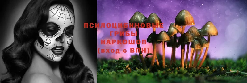 купить закладку  Комсомольск-на-Амуре  Псилоцибиновые грибы Psilocybine cubensis 