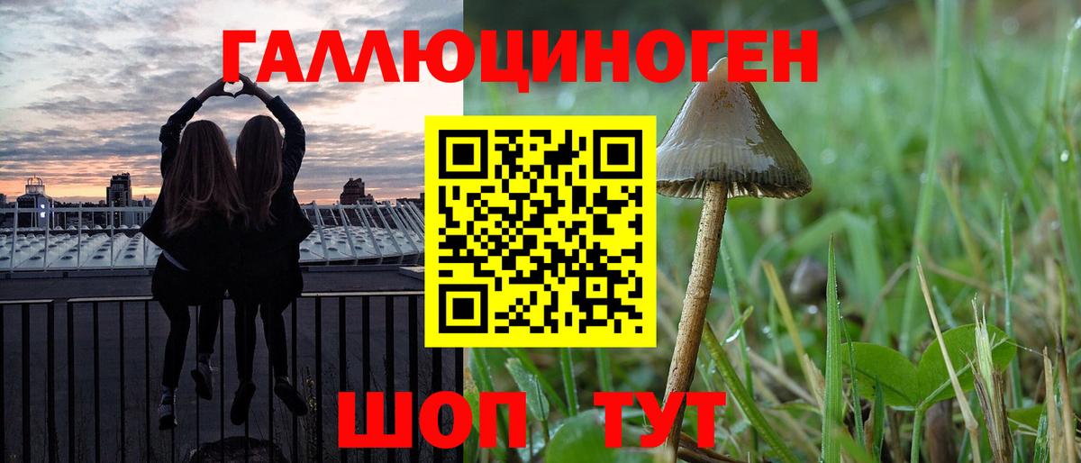 Галлюциногенные грибы MAGIC MUSHROOMS Комсомольск-на-Амуре