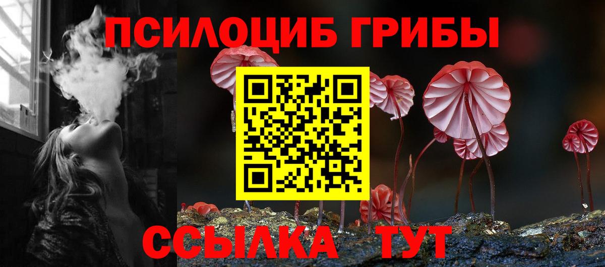 Псилоцибиновые грибы MAGIC MUSHROOMS  Галлюциногенные грибы GOLDEN TEACHER  Вход с VPN  Комсомольск-на-Амуре 
